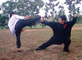 Taijiquan combat