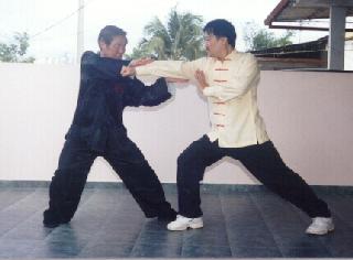 Taijiquan qin-na