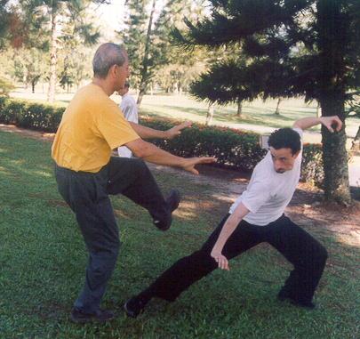 Taijiquan Sparring