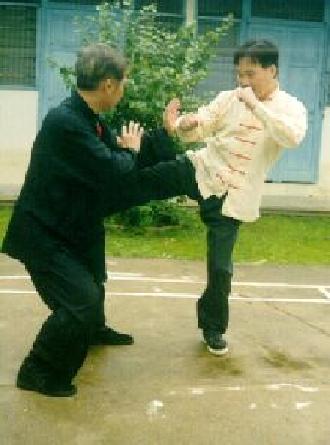 Taijiquan and Shaolin Kungfu