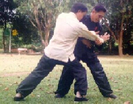 Taijiquan qin-na