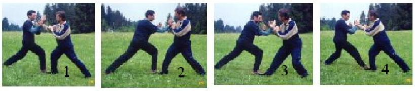 Yielding in Wahnam Taijiquan