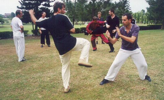 Taijiquan Sparring