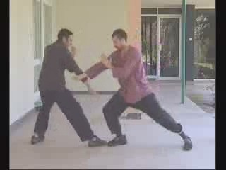 Taijiquan combat sequences