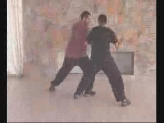 Taijiquan combat sequences