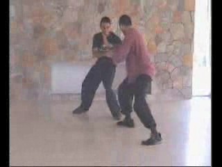 Taijiquan combat sequences