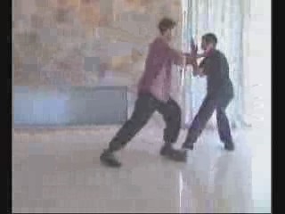 Taijiquan combat application