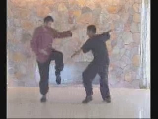 Taijiquan combat sequences