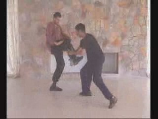 Taijiquan combat application