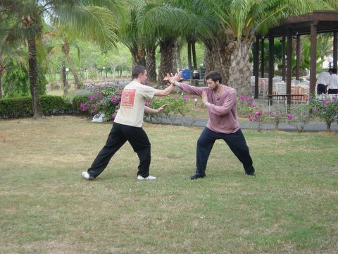 Wahnam Taijiquan