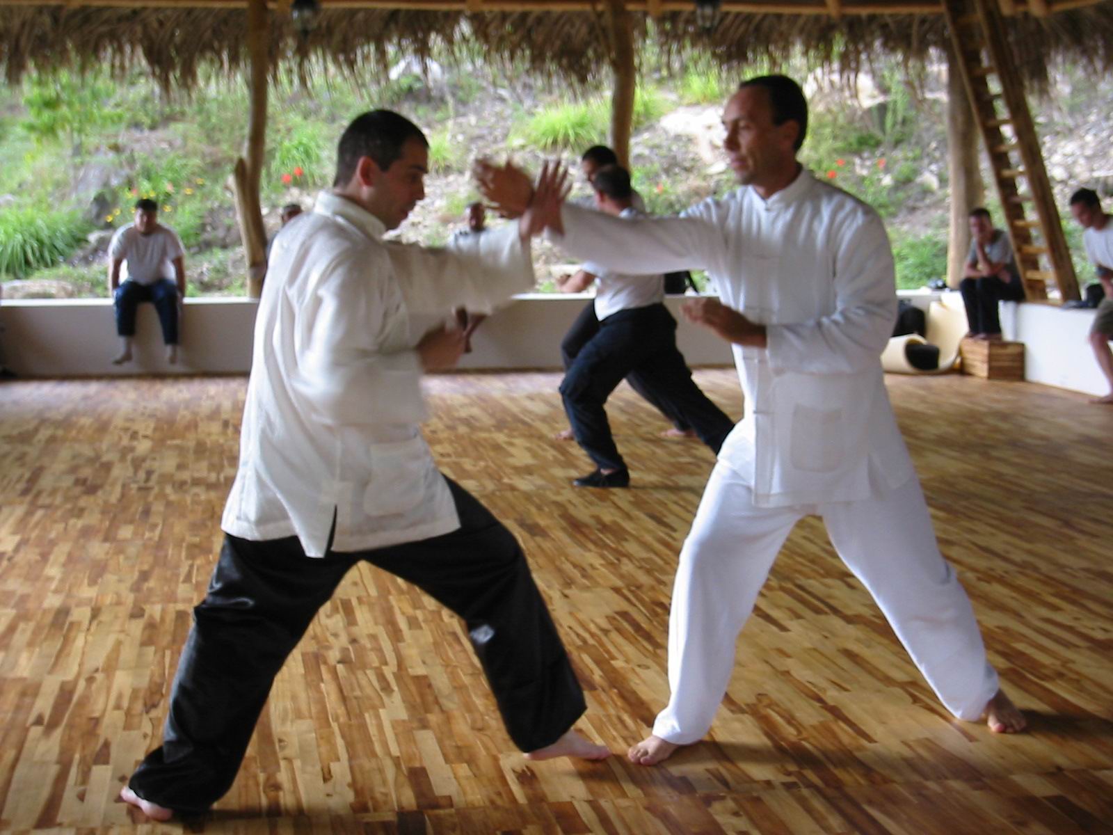 Taijiquan Sparring