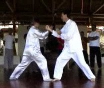 Taijiquan combat application