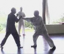 Taijiquan against Boxing