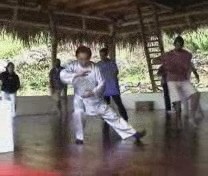 Taijiquan forms