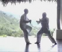 Taijiquan against Muay Thai