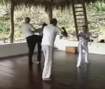 Taijiquan Tai Chi Chuan combat