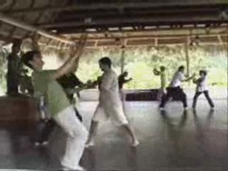 Basic Wahnam Taijiquan Training