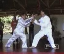 Taijiquan Striking Hands