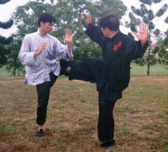 Taijiquan, Tai Chi Chuan