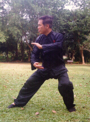 Tai Chi Chuan, Taijiquan