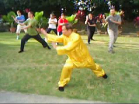 Tai Chi Chuan, Taijiquan