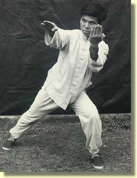 Wing Chun Kungfu