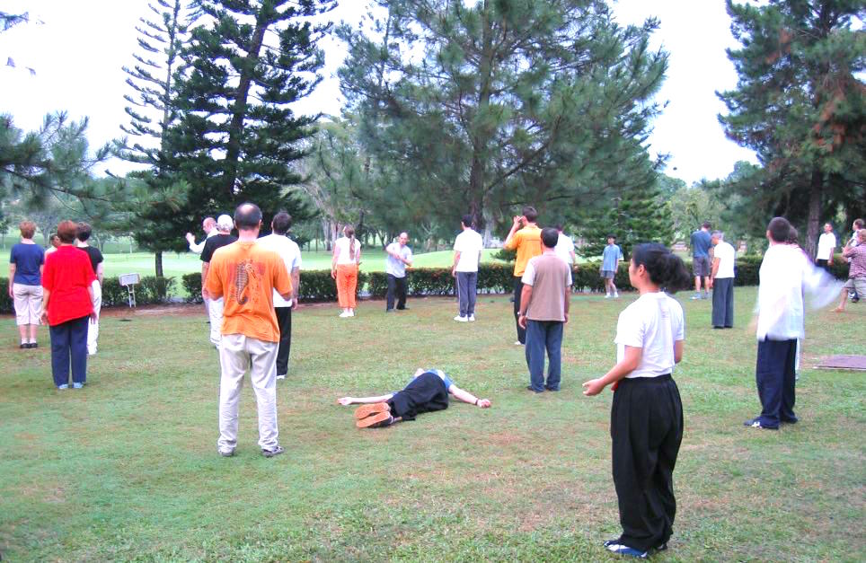 Shaolin Chi Kung Qigong