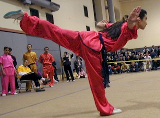 Wushu