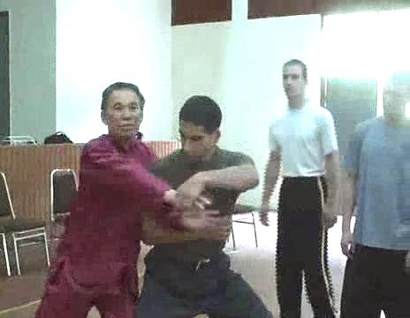 Wahnam Taijiquan