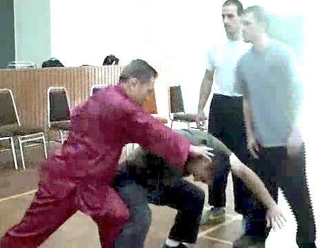 Wahnam Taijiquan