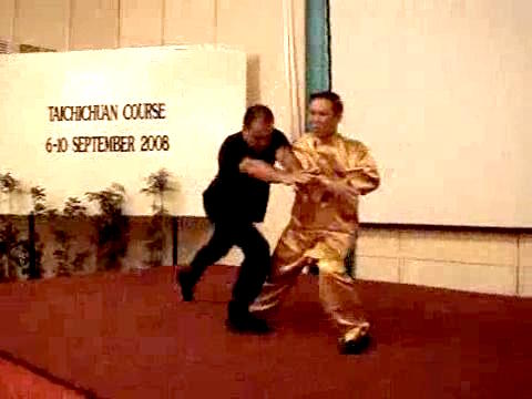 Taijiquan Pushing Hands