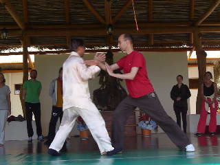 Wahnam Taijiquan