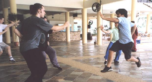 kung fu sparring