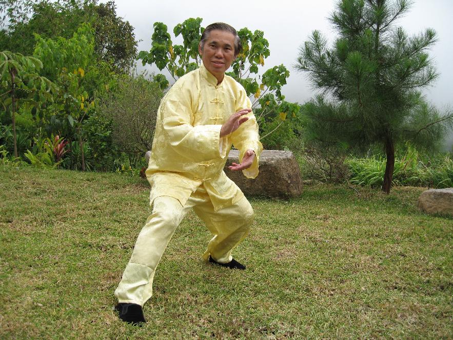 Taijiquan, Tai Chi Chuan