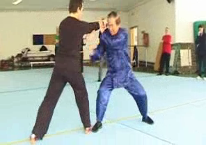 Taijiquan Combat Sequences