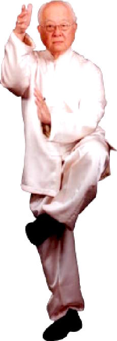 Sifu Yap Cheng Hai