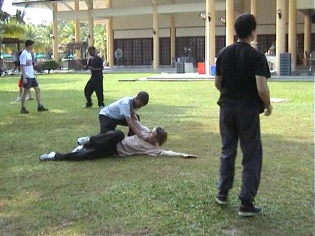 Shaolin Felling Technique