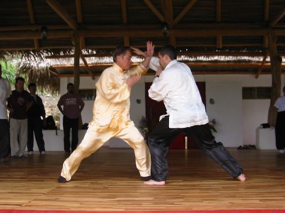 Taijiquan sparring