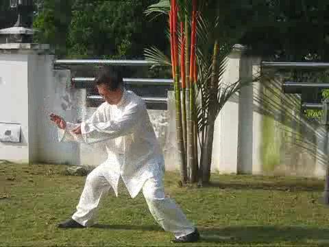 Taiji Dance or as Taijiquan