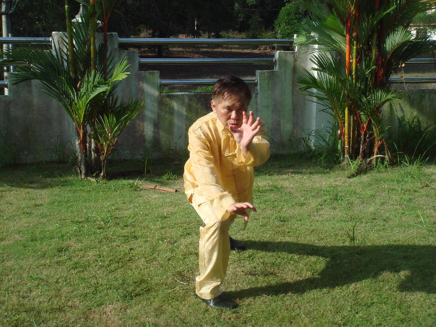 Shaolin, Fierce Tiger Catches Goat