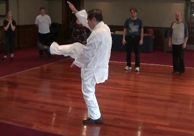 chen style taijiquan