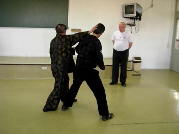 Baguazhang