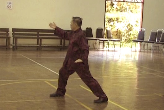 Wudang Taijiquan