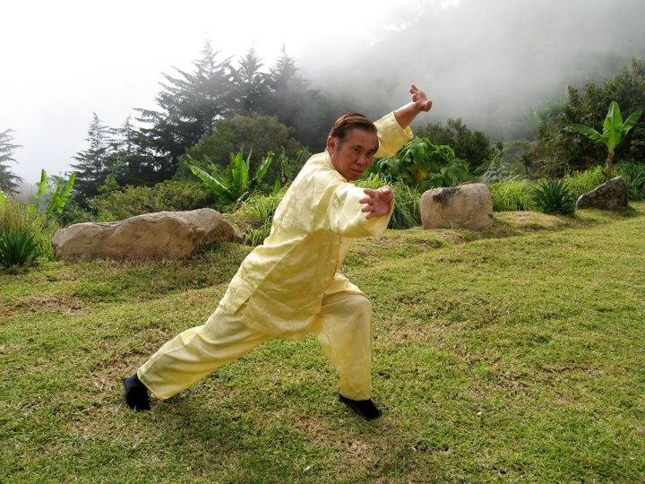 Wudang Kungfu