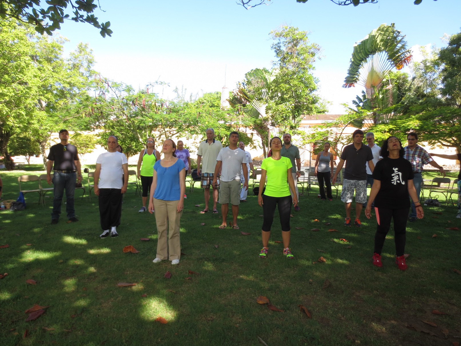 chi kung, qigong