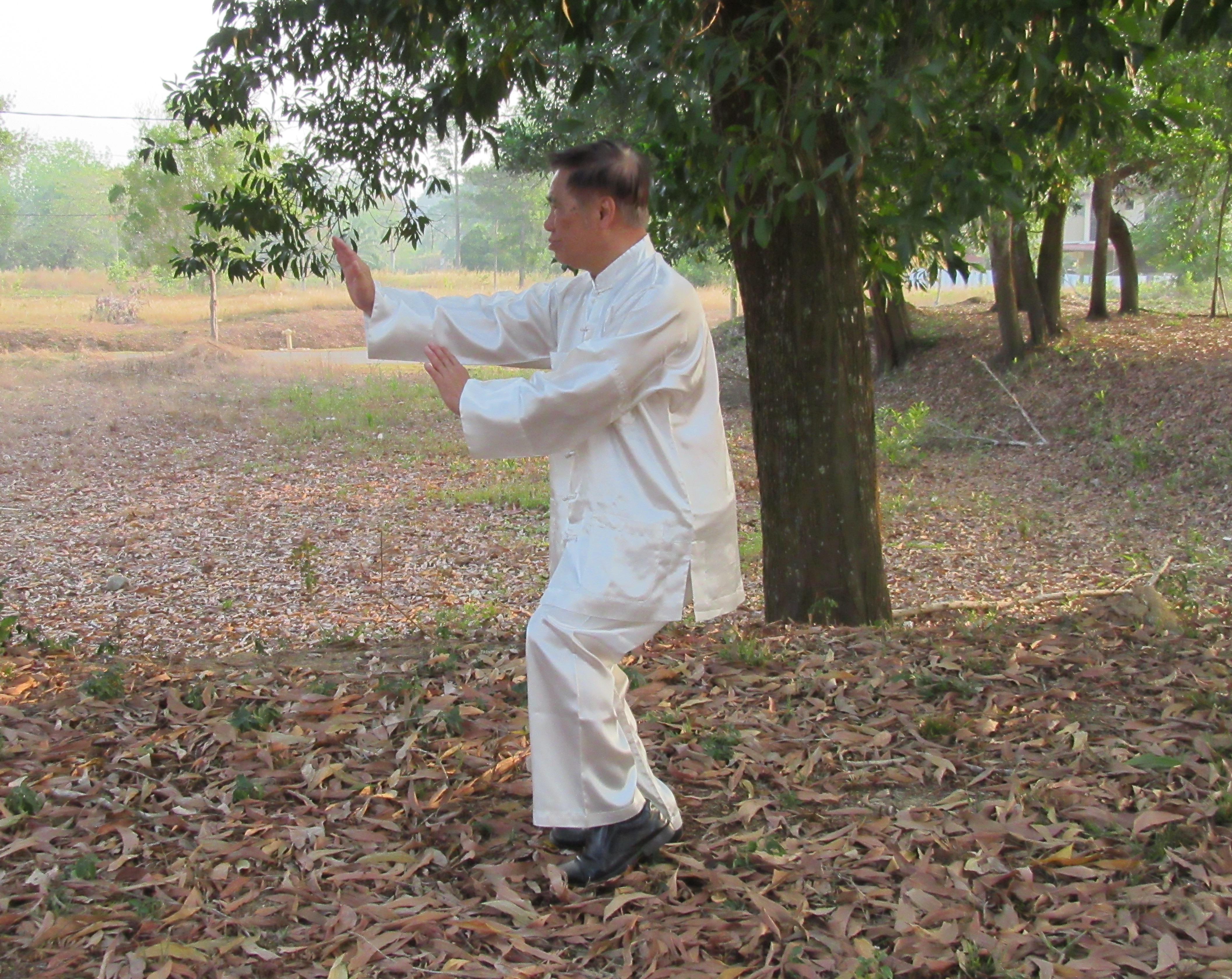 Wudang Three-Harmony Set