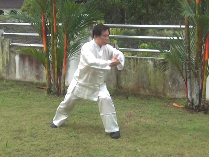 Taijiquan