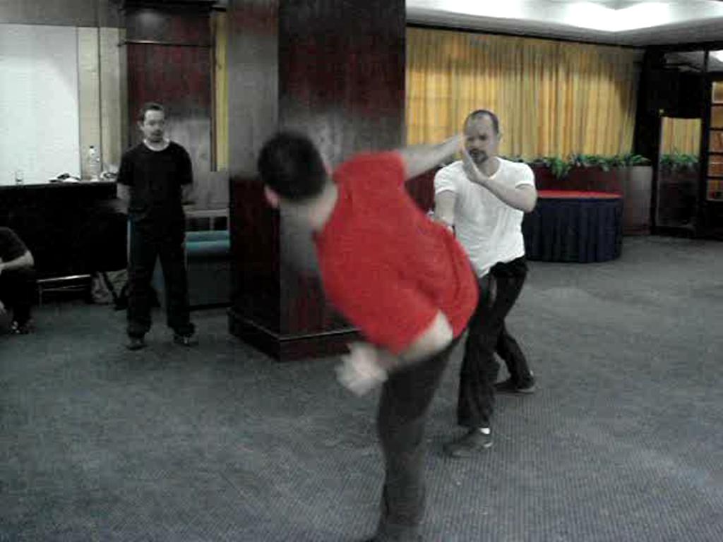 Kungfu Combat