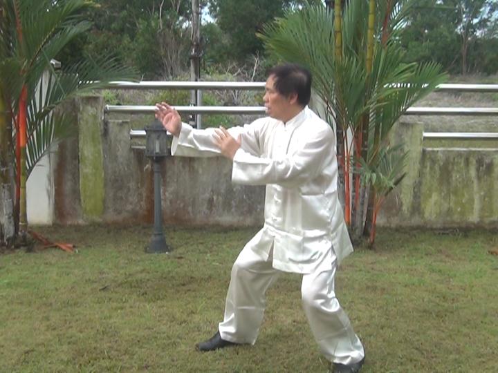 Wahnam Taijiquan, Tai Chi Chuan