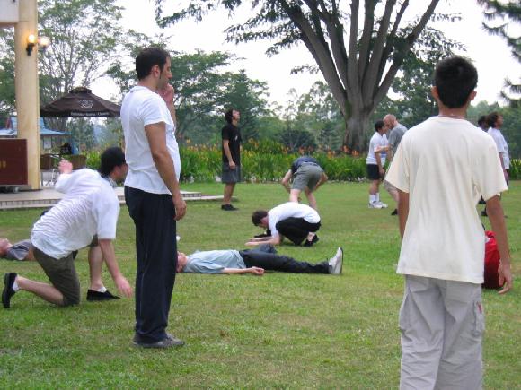 Taijiquan Sparring